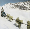 Jungfraujoch Polar Hounds Pulling Sled Circa 1900 From Magic Lantern Slide Poster Print by John Short / Design Pics - Item # VARDPI12327089