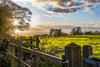 Sunset on the North Downs Way, Southern England; Kent, England; Kent, England Poster Print by Dosfotos / Design Pics - Item # VARDPI12548846