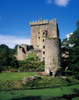 Blarney Castle, Co Cork, Ireland; Medieval Stronghold In Blarney Poster Print by The Irish Image Collection / Design Pics - Item # VARDPI1802807