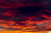 Dramatic colourful cloud formations at sunset; Calgary, Alberta, Canada Poster Print by Michael Interisano / Design Pics - Item # VARDPI12516362