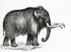 The Woolly Mammoth, Mammuthus Primigenius.  From Meyers Lexicon, Published 1924. Poster Print by Ken Welsh / Design Pics - Item # VARDPI12323852