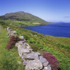 Stone Wall On A Coast, Allihies, County Cork, Republic Of Ireland Poster Print by The Irish Image Collection / Design Pics - Item # VARDPI1798429