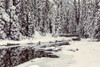 Bridge on Emerald River at Emerald Lake, Yoho National Park; British Columbia, Canada Poster Print by LJM Photo / Design Pics - Item # VARDPI12510488