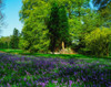 Emo Court, Co Laois, Ireland; Sculpture Amongst Bluebells During Spring Poster Print by The Irish Image Collection / Design Pics - Item # VARDPI1811665