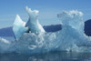 Iceberg floating in Tracy Arm, Tongass National Forest; Alaska, United States of America Poster Print by John Hyde / Design Pics - Item # VARDPI12549393