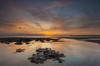 Sunrise reflections in a tide pool along the coast; Sunderland, Tyne and Wear, England Poster Print by Philip Payne / Design Pics - Item # VARDPI12435753