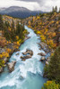 The Tutshi River Canyon As Seen From The Suspension Bridge, British Columbia, Canada, Fall. Poster Print by John Hyde / Design Pics - Item # VARDPI12290788