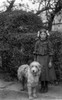 Glass Negative circa 1900.Victorian.Social History. A young girl with her dog in the street Poster Print by John Short / Design Pics - Item # VARDPI12513211