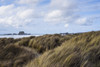 Grass And Clouds Frame A Scene Along The Coast; Bandon, Oregon, United States Of America Poster Print by Robert L. Potts / Design Pics - Item # VARDPI12325759