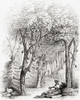 A Cocoa And Coffee Plantation In The West Indies In The 19th Century.  From A 19th Century Print. Poster Print by Ken Welsh / Design Pics - Item # VARDPI12323426