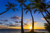 The sun setting through silhouetted palm trees; Wailea, Maui, Hawaii, United States of America Poster Print by Jenna Szerlag / Design Pics - Item # VARDPI12547158