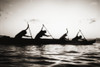 Hawaii, Molokai To Oahu Canoe Race, Paddlers Silhouetted At Sunset (Black And White Photograph). Poster Print by Chris Abraham / Design Pics - Item # VARDPI1982729