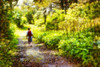 Digital painting of a young man with red backpack hiking on a trail surrounded by lush foliage Poster Print by 770 Productions / Design Pics - Item # VARDPI12512556