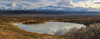 Panoramic Of Denali From Along The Park Road, Denali National Park; Alaska, United States Of America Poster Print by Kevan Dee / Design Pics - Item # VARDPI12318151