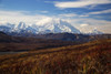 View Of Denali From The Thorofare Ridge Trail, Denali National Park; Alaska, United States Of America Poster Print by Kevan Dee / Design Pics - Item # VARDPI12318154