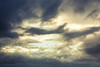 A flock of birds flying through illuminated clouds in the sky; Vancouver, British Columbia, Canada Poster Print by Aaron Von Hagen / Design Pics - Item # VARDPI12515834