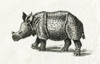 Indian Rhinoceros, Or Greater One-Horned Rhinoceros, Rhinoceros Unicornis.   From An 18th Century Print. Poster Print by Ken Welsh / Design Pics - Item # VARDPI12289904