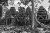 Monochrome tree among ruins of stone temple, Banteay Kdei, Angkor Wat; Siem Reap, Siem Reap Province, Cambodia Poster Print by Nick Dale / Design Pics - Item # VARDPI12545277