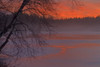 Misty landscape at Powder Mill Lake Park glowing pink at twilight in winter; Waverley, Nova Scotia, Canada Poster Print by Irwin Barrett / Design Pics - Item # VARDPI12388209