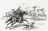 Hunting Llamas With Lassos On The West Coast Of South America In The 19th Century.   From A 19th Century Print. Poster Print by Ken Welsh / Design Pics - Item # VARDPI12323427