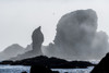 Sea stacks are silhouetted against fog at Ecola State Park; Cannon Beach, Oregon, United States of America Poster Print by Robert L. Potts / Design Pics - Item # VARDPI12541509