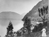 Glass Negative circa 1900.Victorian.Social History. A victorian lady in best dress at said of lake in New Zealand Poster Print by John Short / Design Pics - Item # VARDPI12513277