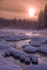 Winter afternoon along the shoreline of Mendenhall River, Tongass National Forest; Juneau, Alaska, United States of America Poster Print by John Hyde / Design Pics - Item # VARDPI12549377