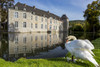 White swan (Cygnus) at the edge of a pond with a castle reflecting in the water and blue sky, West of Godinne; Belgium Poster Print by Michael Interisano / Design Pics - Item # VARDPI12549018