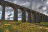 The Ribblehead viaduct carries the Settle-Carlisle railway line and was opened in 1875; Ribblehead, North Yorkshire, England Poster Print by Philip Payne / Design Pics - Item # VARDPI12514014