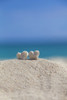 Two White Heart Shaped Coral Rocks Placed Together On Sand At The Beach; Honolulu, Oahu, Hawaii, United States Of America Poster Print by Brandon Tabiolo / Design Pics - Item # VARDPI12326377