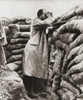 A German Officer In A Heavily Sandbagged Observation Point During Wwi. From The Pageant Of The Century, Published 1934 Poster Print by Hilary Jane Morgan / Design Pics - Item # VARDPI12285635