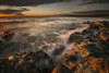 Atlantic ocean water rolls into the rocky shoreline at sunrise with a view of the coastline; Bonavista, Newfoundland, Canada Poster Print by Susan Dykstra / Design Pics - Item # VARDPI12426430
