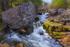 Kings Brook flowing over a rugged rocky landscape in springtime at Sleepy Cove, Shubenacadie Grand Lake; Nova Scotia, Canada Poster Print by Irwin Barrett / Design Pics - Item # VARDPI12388208