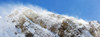 Close-Up Of A Snow Covered Mountain Peak With Blowing Snow And Blue Sky, Peter Lougheed Provincial Park; Alberta, Canada Poster Print by Michael Interisano / Design Pics - Item # VARDPI12331144
