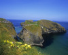 High Angle View Of Rock Formations With A Rope Bridge, Carrick-A-Rede Rope Bridge, County Antrim, Northern Ireland Poster Print by The Irish Image Collection / Design Pics - Item # VARDPI1798806