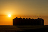 Silhouette of large metal grain bins at sunrise with an orange sun and an orange cast sky, East of Calgary; Alberta, Canada Poster Print by Michael Interisano / Design Pics - Item # VARDPI12510858