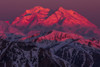 Alpenglow shines on Denali at sunrise, viewed from a ridge near Polychrome Mountain in Denali National Park; Alaska, United States of America Poster Print by Steven Miley / Design Pics - Item # VARDPI12435672