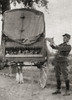 A French Trooper Releasing A Pigeon With A Message For Headquarters During Wwi.  From The War Illustrated Album Deluxe, Published 1915. Poster Print by Hilary Jane Morgan / Design Pics - Item # VARDPI12285911 A French Trooper Releasing A Pigeon With A Message For Headquarters During Wwi.  From The War Illustrated Album Deluxe, Published 1915. Poster Print by Hilary Jane Morgan / Design Pics - Item # VARDPI12285911