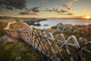 A rocky Atlantic shoreline with a wooden fence in a criss-cross pattern lines the shore as the golden sun rises in the distance; Newfoundland, Canada Poster Print by Susan Dykstra / Design Pics - Item # VARDPI12426429