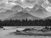 Black and white landscape of the rugged Canadian rocky mountains with a forest and a flowing river in the foreground; Invermere, British Columbia, Canada Poster Print by Keith Levit / Design Pics - Item # VARDPI12426404