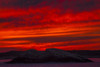 A Blazing Red Sky At Sunset Silhouettes Hundreds Of Commorant Seabirds On A Rocky Island As Seen From The High Head Trail; Prospect, Nova Scotia, Canada Poster Print by Irwin Barrett / Design Pics - Item # VARDPI12326652