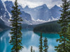 Stunning view of the rugged Canadian rocky mountain peaks and a tranquil turquoise Moraine Lake with forests along the shoreline; Field, British Columbia, Canada Poster Print by Keith Levit / Design Pics - Item # VARDPI12426406