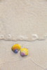 A Set Of Two Rare Hawaiian Sunrise Scallop Seashells, Also Known As Pecten Langfordi, In The Sand At Lanikai Beach; Honolulu, Oahu, Hawaii, United States Of America Poster Print by Brandon Tabiolo / Design Pics - Item # VARDPI12326373