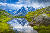 Aiguille des Charmoz, part of Aiguilles de Chamonix, reflects on Lac Flegere surrounded with green meadow, Aiguilles Rouges; Chamonix-Mont-Blanc, Haute-Savoie, France Poster Print by Sunny Awazuhara- Reed / Design Pics - Item # VARDPI12511128