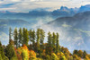 Colourful trees in autumn on a ridge overlooking rolling valley alpine slopes and mountains in the background with mist coming up from the valley; Caldaro, Bolzano, Italy Poster Print by Michael Interisano / Design Pics - Item # VARDPI12516408