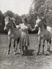Princess Elizabeth Future Elizabeth Ii Born 1926 Queen Of The United Kingdom Canada Australia And New Zealand Seen Here With Two Norwegian Dun Ponies At Windsor Castle Windsor England From A Photograph Poster by Ken Welsh - Item # VARDPI12323639