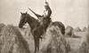 A French Cuirassier On Sentry Duty At The Start Of Wwi In 1914 Soon After The Use Of Both Helmet And Breast Plate Was Abolished From The Pageant Of The Century Published 1934 Poster Print by Hilary Jane Morgan / Design Pics - Item # VARDPI12285625