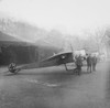 Magic lantern slide WW1 1914-1918 World war one images Captured German Fokker aircraft with British troopsDisplay of captured German weapons and artillary at Horse Guards Parade London 3rd November 1915 Poster by John Short - Item # VARDPI12510996