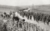 The Trail War Amid Peaceful Vineyards Northern France During Wwi French Peasants Working Their Vines Champagne Region France Whilst Troops March Past Them To Battle Lines War Illustrated Album Deluxe Published 1915 Hilary Jane Morgan # VARDPI12285526