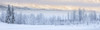 Warm afternoon sunlight bathes distant mountains in-between low clouds obscuring hillside hoar frost covered birch trees lining shaded foreground Turnagain Pass Kenai Peninsula South-central Alaska; Alaska United States America Kevin G Smith # VARDPI